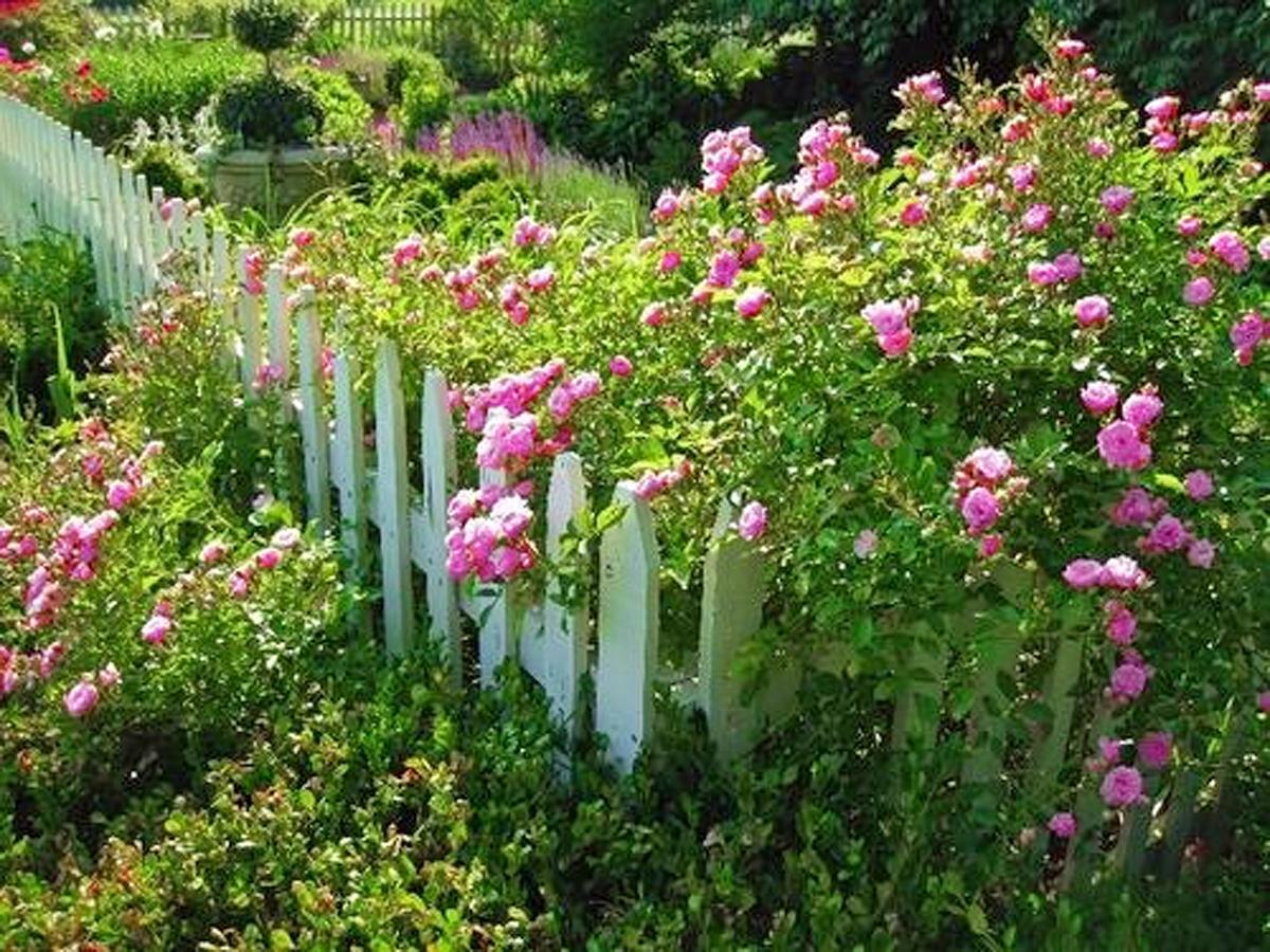 Kirkwood Inn เมสัน ภายนอก รูปภาพ