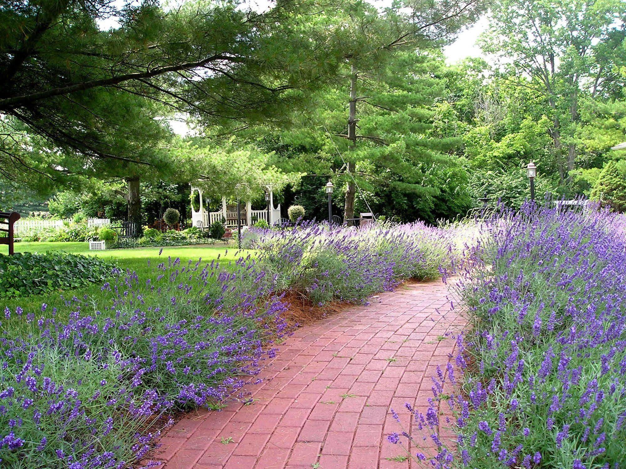 Kirkwood Inn เมสัน ภายนอก รูปภาพ